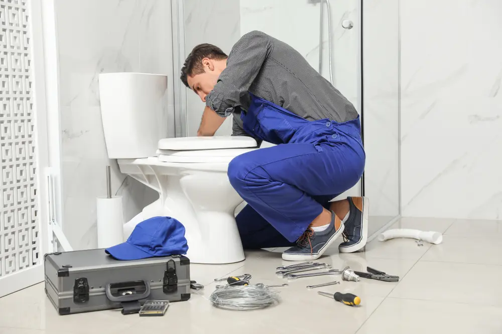 Toilet Installation in Monte Alto